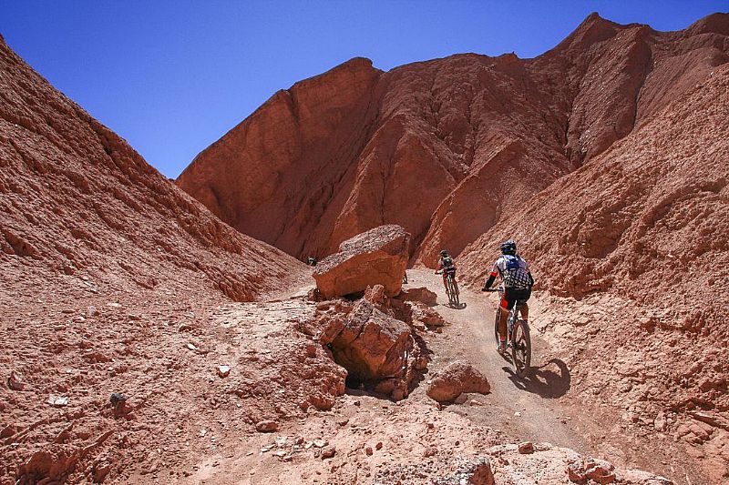 Excursión en bicicleta al Valle de la Muerte y sandboard.